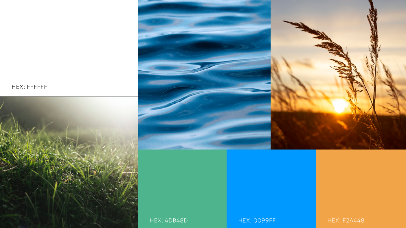 Colours